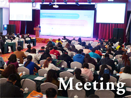 Meeting